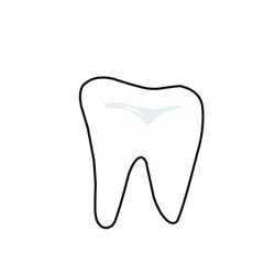Human teeth