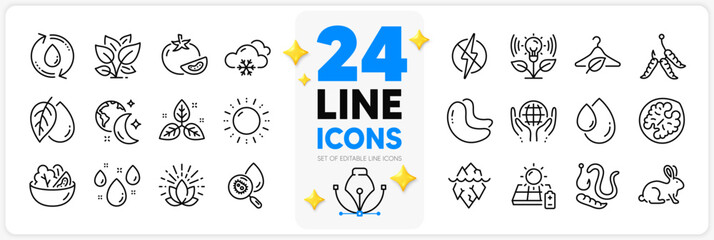 Fototapeta na wymiar Icons set of Animal tested, Salad and Cashew nut line icons pack for app with Maggots, Water analysis, Organic tested thin outline icon. Refill water, Worms, Fair trade pictogram. Vector