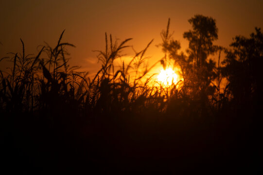 sunset in the mountains