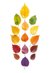 a collection of autumn leaves arranged vertically isolated on a transparent background, generative ai