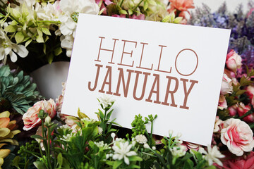 Hello January text message on paper card with beautiful flowers decoration