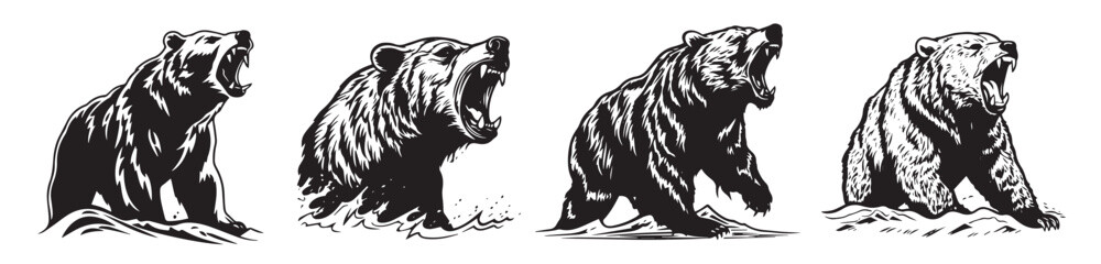 Aggressive grizzly bear ready to attack - obrazy, fototapety, plakaty