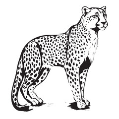 Cheetah silhouette, simple vector graphic black and white predatory cat pattern, whole silhouette of a predator on white background