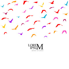 A flock of colored birds. Not AI. Vector illustration