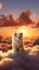 Dog reaches dog heaven