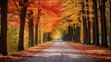 A daytime vertical shot of a road traversing beautiful, colorful trees.