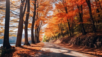 A daytime vertical shot of a road traversing beautiful, colorful trees.