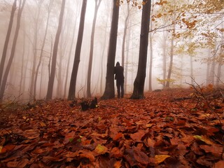fantasy autumn morning in foggy forest with man silhouette
