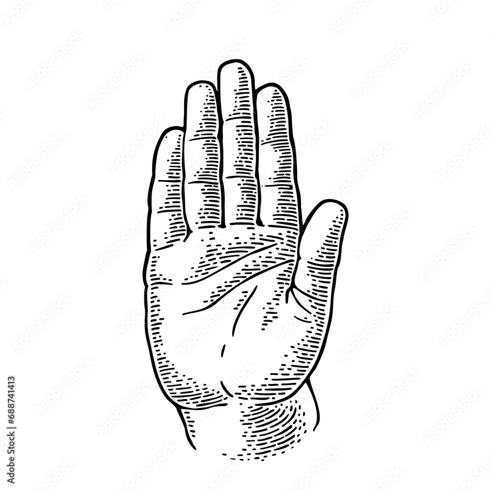 Wall mural Hand showing stop gesture. Front view. Vector monochrome vintage engraving illustration isolated on a white background. For web, poster, info graphic.