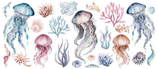 Underwater sea jellyfish on an isolated background. Watercolor set elements of the undersea world. Sea animals are hand drawn. Ocean fauna clipart for kids design. - obrazy, fototapety, plakaty