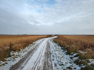 Winterlicher Weg zwischen Schilfwiesen in Jütland