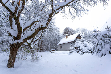 Snow covered village after strong snowfall. Europe.