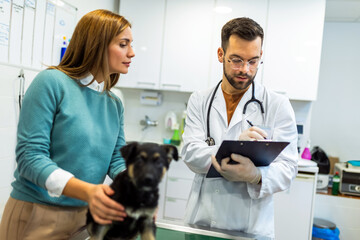 Young man, a veterinarian by profession, examines a dog in modern vet clinic.Young owner helps to...
