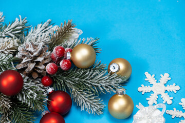 Snow-covered christmas tree branch with red and golden balls on blue background.