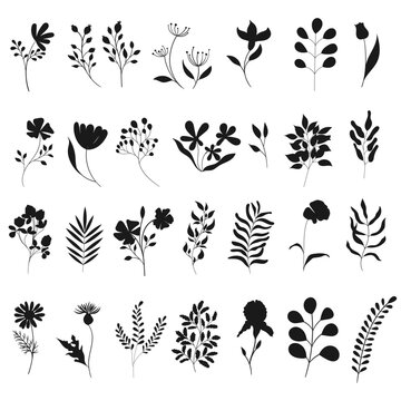 Set of plant silhouettes. Flat drawings on botanical theme. Minimalism in the depiction of flora. Flowers and branches for your design.