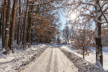 Road in the countryside after heavy snowfall in central Europe