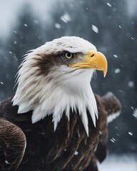 bald eagle flying towards the camera in snowfall 


