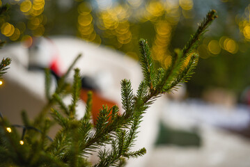 Close-up of green fir tree branch with needles with yellow christmas lights on bokeh background.