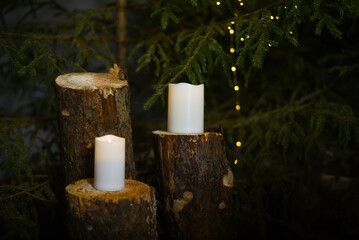White LED candles that stand on fir tree stumps under fir trees with green needles in which...