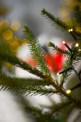 Close-up of green fir tree branch with needles with yellow christmas lights on bokeh background.