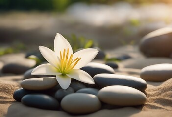 Fototapeta na wymiar Sand lily and spa stones in zen garden