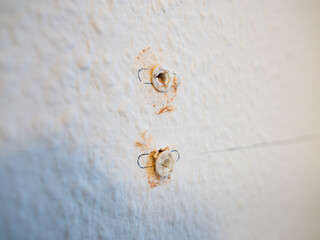 Wall anchor installed in an apartment. Dust and dirt of the red brick is on the surface. Screws can be inserted in the plugs to mount furniture. Renovation at home when moving in a new flat.