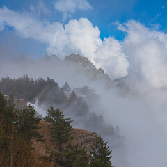 snowbound mountain valley with fir forest in mist