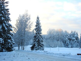 Beautiful time of year - winter and a lot of snow