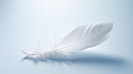 A white feather on a neutral surface