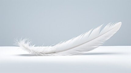A white feather on a neutral surface