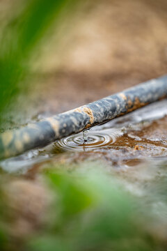 Drop of water irrigation system dripping from pipe into puddle