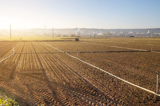 Sunlit agricultural field ready for irrigation