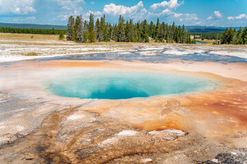 Bacterial mats and soil formations near Grand Prismatic Spring in Yellowstone National Park