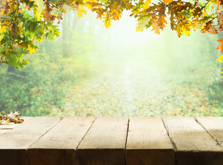 Naklejka na ściany i meble Wooden table under the autumn leaves. Blurred autumn forest path at sunrise or sunset in the background 