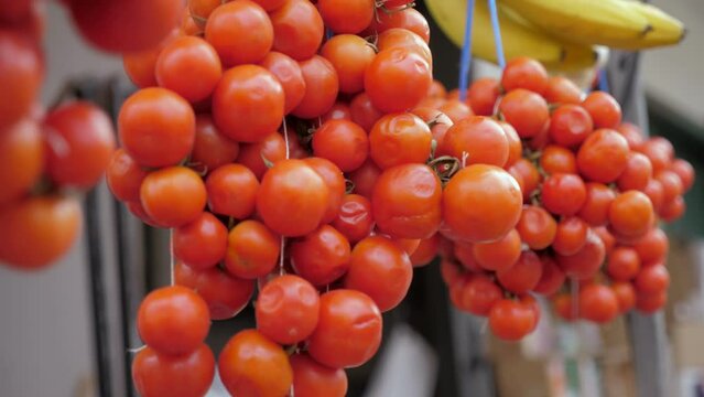 Red tomatoes cherry, pomodoro ciliegino di pachino