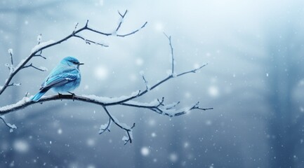 a small blue bird standing on the branch in a snowy snowy scene,