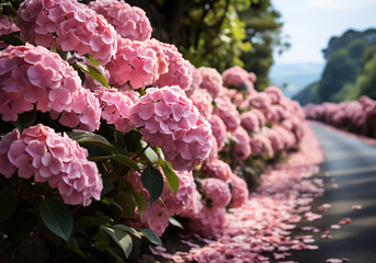 Rural road lined with flowering hydrangeas. AI generated