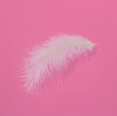Creative layout with white soft feather on bright pink background. Visual trend. Minimalistic...