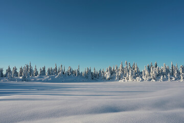 Image from a trip to the Osthogda Hill, part of the Totenaasen Hills, Norway, in winter.