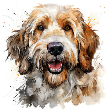 Watercolor Labradoodle Clipart, Generative Ai