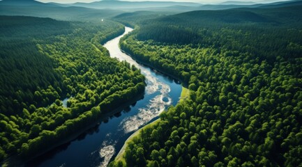 Fototapeta na wymiar aerial view of a river flowing in middle of a forest,