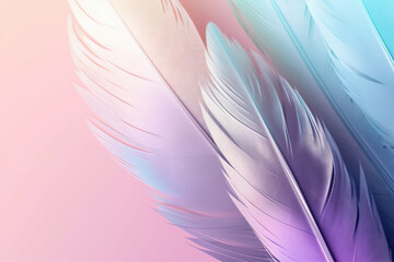 Fototapeta na wymiar Pastel color feather abstract background