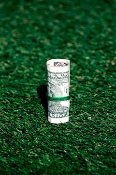 Closeup of rolled one dollar paper currency tied on green grass background with copy space