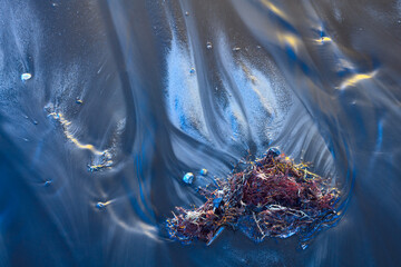 Abstract frozen vegetation on icy surface