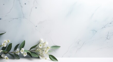eucalyptus leaves background on white marble, - obrazy, fototapety, plakaty