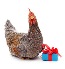 Chicken and gift.