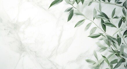 green leaves on a white marble background,