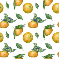 Seamless watercolour citrus fruits and leaves pattern. Green leaves and orange fruits on white background. Seamless mandarin and oranges watercolour illustration for wrapping paper, fabric, wallpaper.