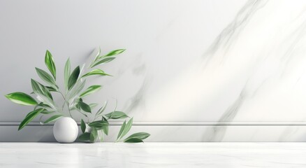 plants and leaves against a white wall,