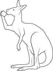 Kangaroo Coffee Cup Animal Vector Graphic Art Illustration